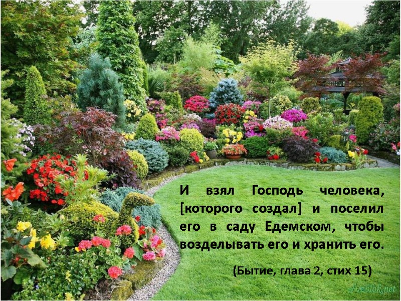 И взял Господь человека, [которого создал] и поселил его в саду Едемском, чтобы возделывать